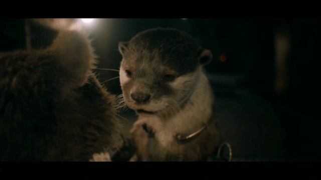 Енот смотреть онлайн