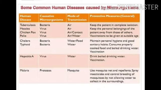 Microorganisms 6 via ppt смотреть онлайн