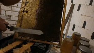 ПАСЕЧНЫЙ НОЖ РАБОТАЕТ БЕЗ ПОДОГРЕВА за 110 руб