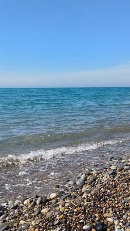 ☀️ чистое море 🐳
