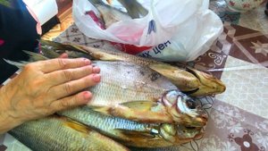 Вяленая рыбка.#вяленый язь#вяленая рыба#