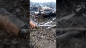 8 Республика Хакасия, Аскизский район, п. Неожиданный. ООО "Артель старателей Хакасия"