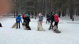 VID-20250309-WA0066