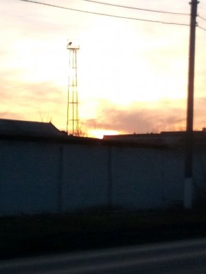 я играю в рб ник в описании