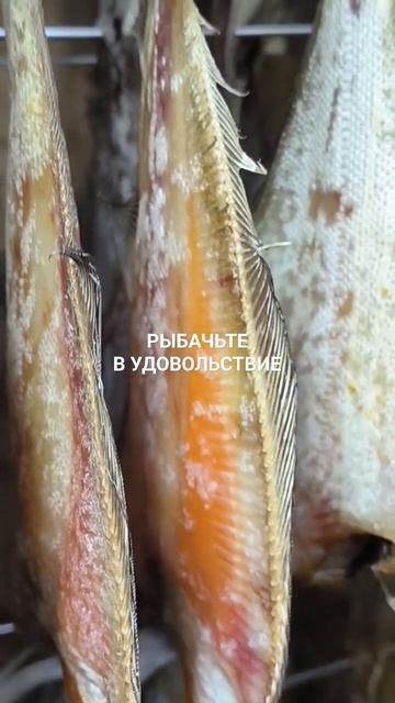 Вяленый ёрш - супер вкусняшка.