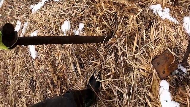 НАШЁЛ мусорку СССР!!КОП Металла!!#копметалла #приборныйпоиск