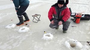 8 марта рыбалка на р. Свирь