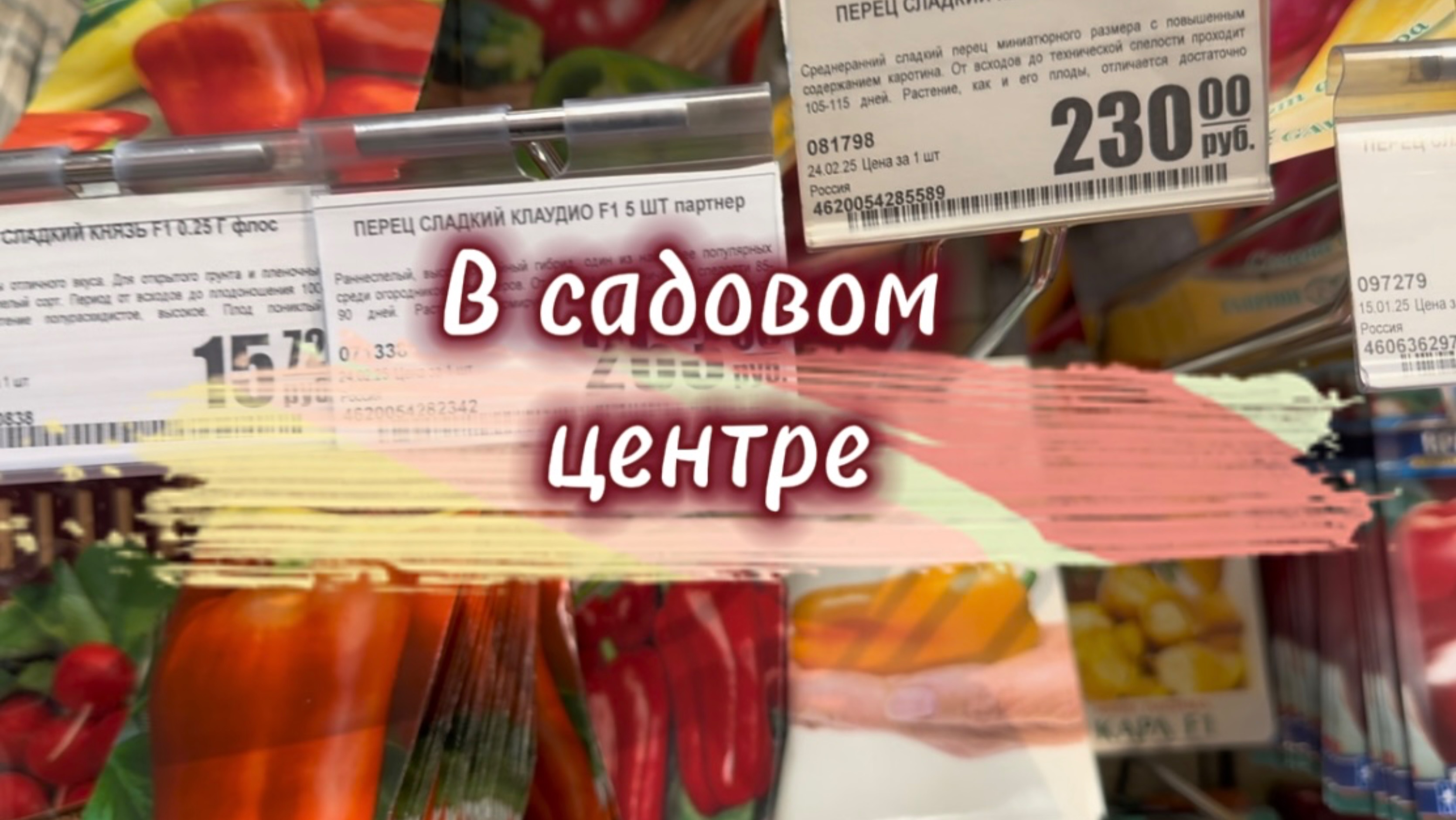 В садовый центр за «Рубиновой Лакомкой»