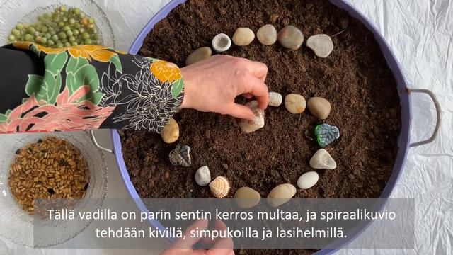 Näin kasvatat kauniin versokarusellin смотреть онлайн