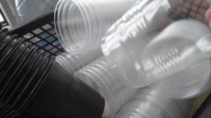 Использую для рассады поллитровые стаканчики