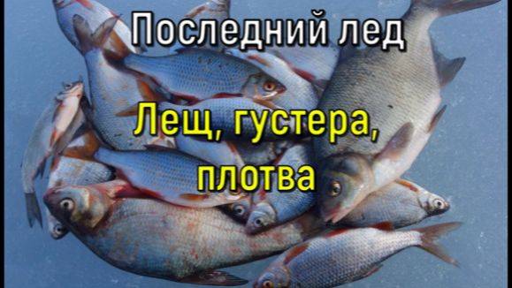 Рыбалка по последнему льду. Лещ, густера, плотва смотреть онлайн