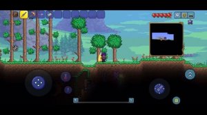 Сид ГДЕ ВЫ СМОЖЕТЕ ЛЕГКО НАЙТИ САМОГО РЕДКОГО ПИТОМЦА В ТЕРРАРИИ