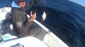 Как поймать камбалу: секреты рыбалки