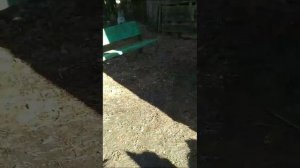 1000063077.mp4