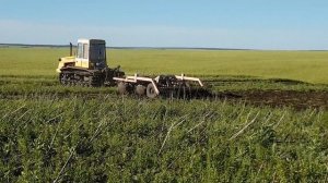 Трактор Т-404 с БДМ-3Х4П на обработке паров