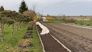Дополнительный заработок в деревне. Выгодно ли выращивать зелень на продажу?