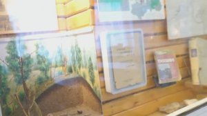 Музей СОШ №9 г.Тихвин