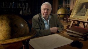 Курьёзы природного мира 2 сезон 7 серия «Жизнь на льду» (документальный сериал, 2013)