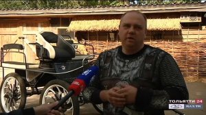 Конюшни Гарибальди ("Специальный репортаж" 02.10.2020)