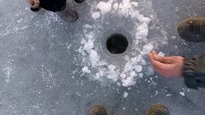 Ловим щуку на жерлицы с детьми!