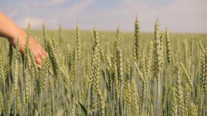 практика 02-2