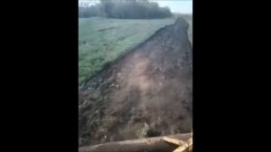 Дискование на тракторе ЮМЗ с самодельным лущильником