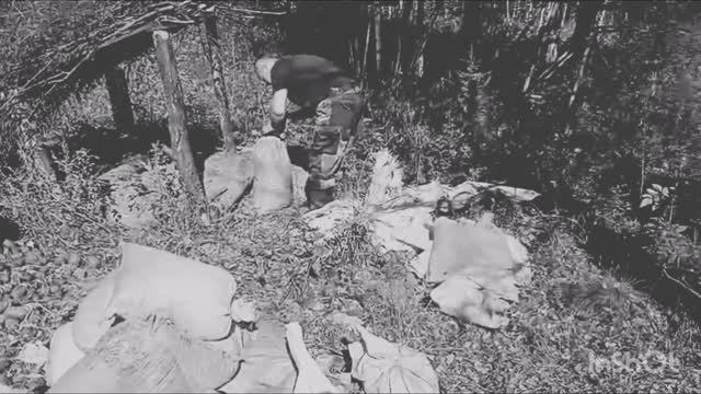 охотничьи будни