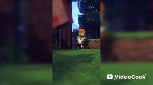 Алекс и Стив.