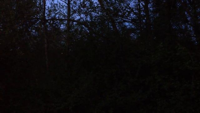 Соловей зовёт на заправку смотреть онлайн