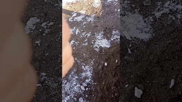 интересный инструмент