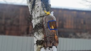 Как сделать скворечник из пластиковой бутылки?