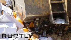 Закапывают сыр в землю