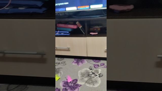 1000053312.mp4