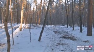 «Новости Тольятти» 21.01.2021