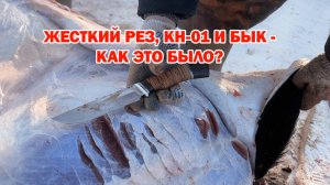 Разделка быка ножом КН-01 - продолжение тестов