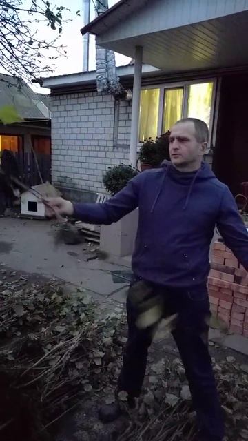 Саджанці фундука 2019: 3-й сорт смотреть онлайн