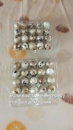 заказ на перепелиное яйцо