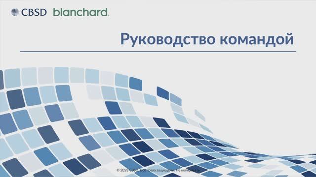 Юлия Яковлева, старший тренер-эксперт CBSD, о тренинге Руководство командой. Blanchard