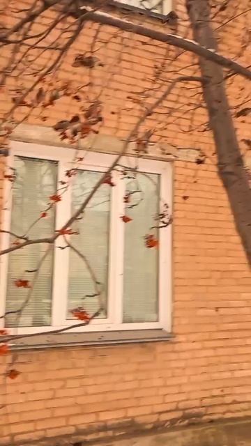 весна птицы