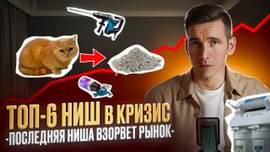 НИШИ в КРИЗИС с доходом от 100 000 руб. На чем заработать, когда все падает?