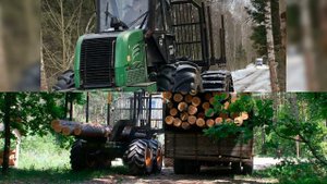 форвардер амкадор 2661-01