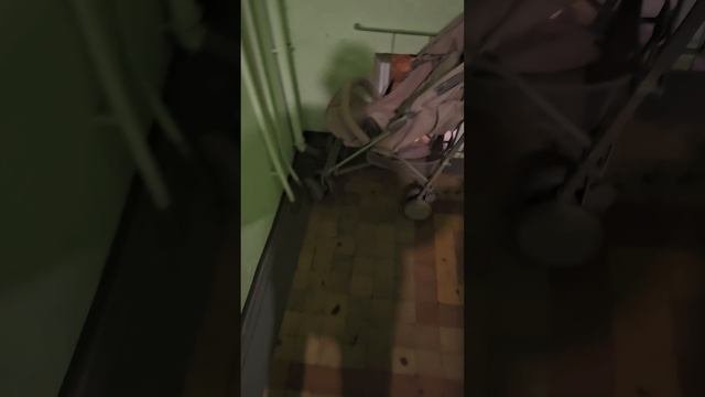 Коврик перед входной дверью квартиры много расскажет об их обитателях.