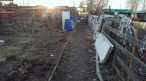 воскресный ☀ день.