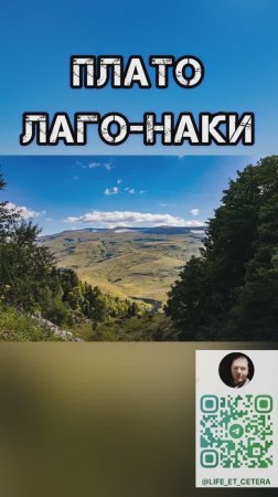 Плато Лаго-Наки #лагонаки #плато #адыгея #горы #альпийскиелуга #леопард