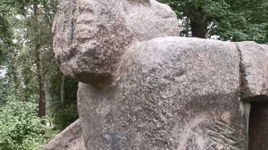 Озерки Вольвариелла шелковистая