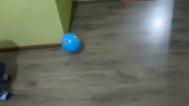 Футбол