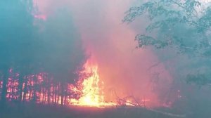 Огонь безжалостно сжигает всё на своём пути. Не поджигай сухую траву!