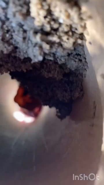 #игры #дети #песок #впесочнице #танки #петропавловск смотреть онлайн