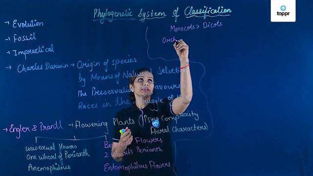 Phylogenetic system of classification | Classification and nomenclature | Class 11 Biology смотреть онлайн