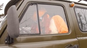 ОБЗОР БУХАНочки/УАЗ 452